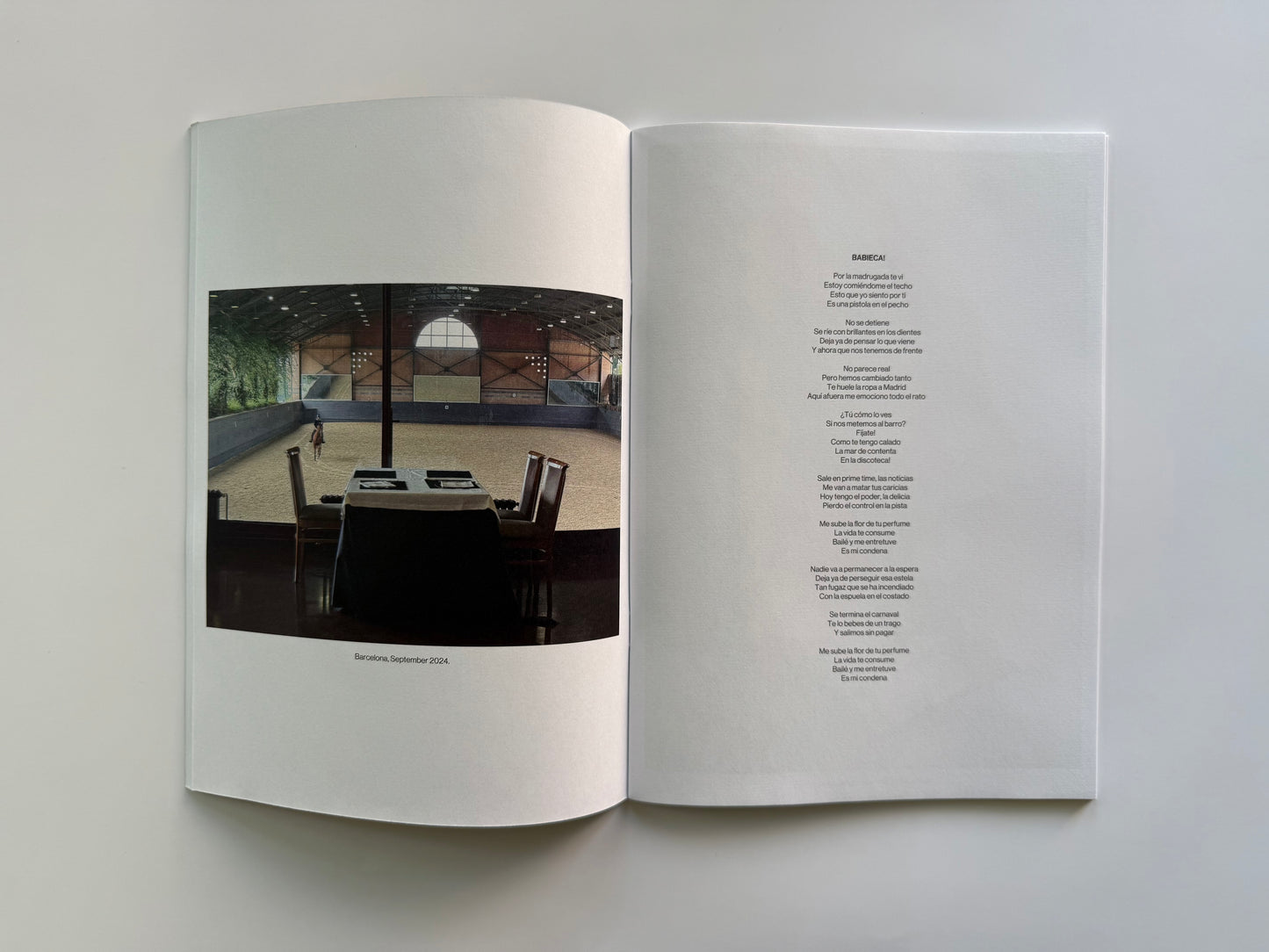 Spanish Leather Fanzine - Guitarricadelafuente